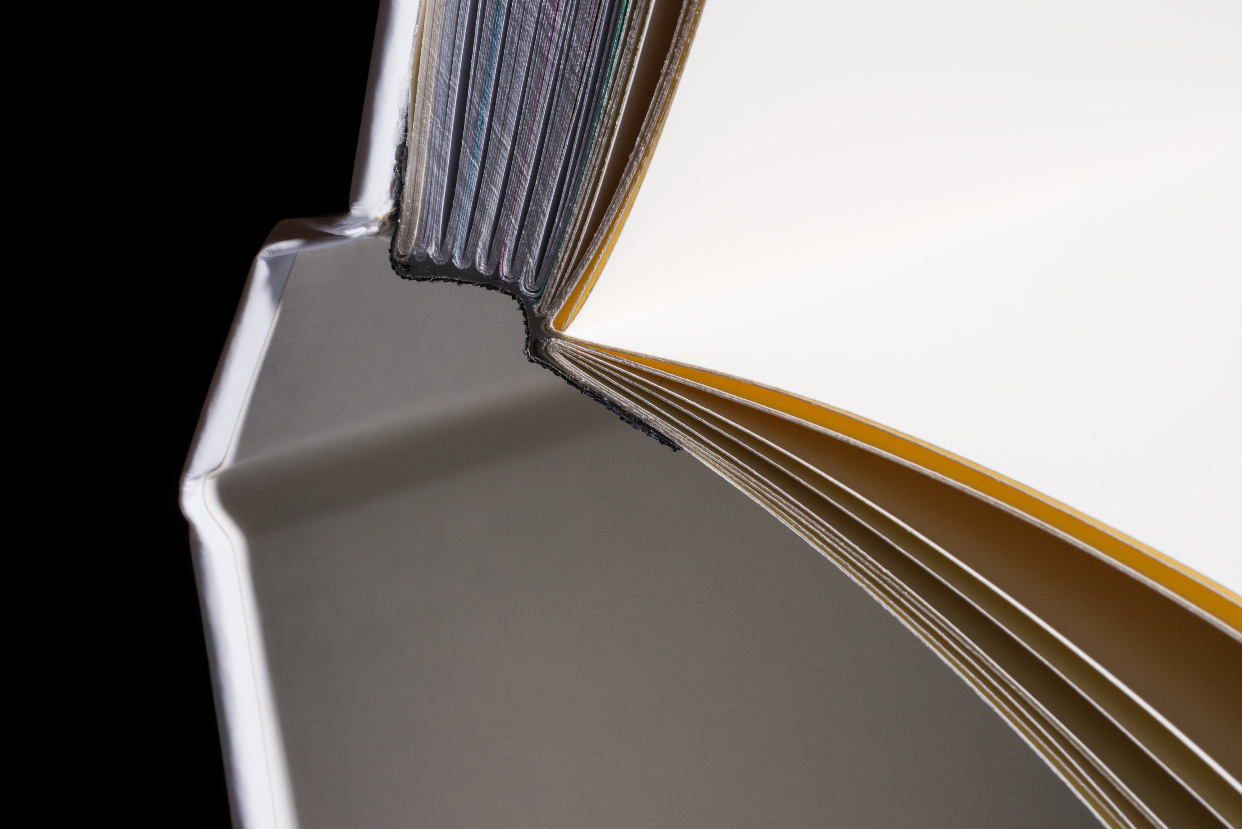 Boca Museum Contemporary Photography Forum