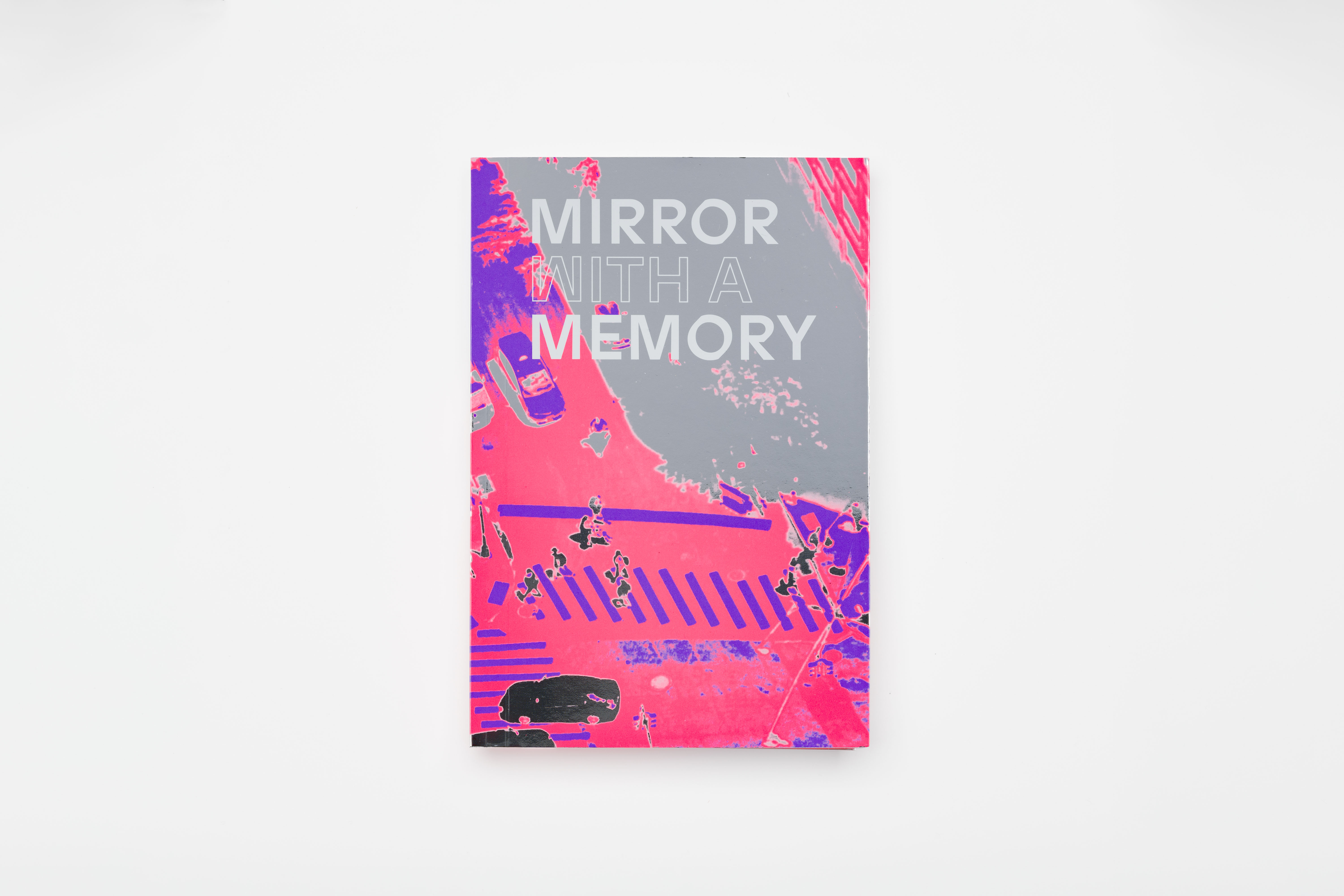 Carnegie Museum of Art Mirror with a Memory