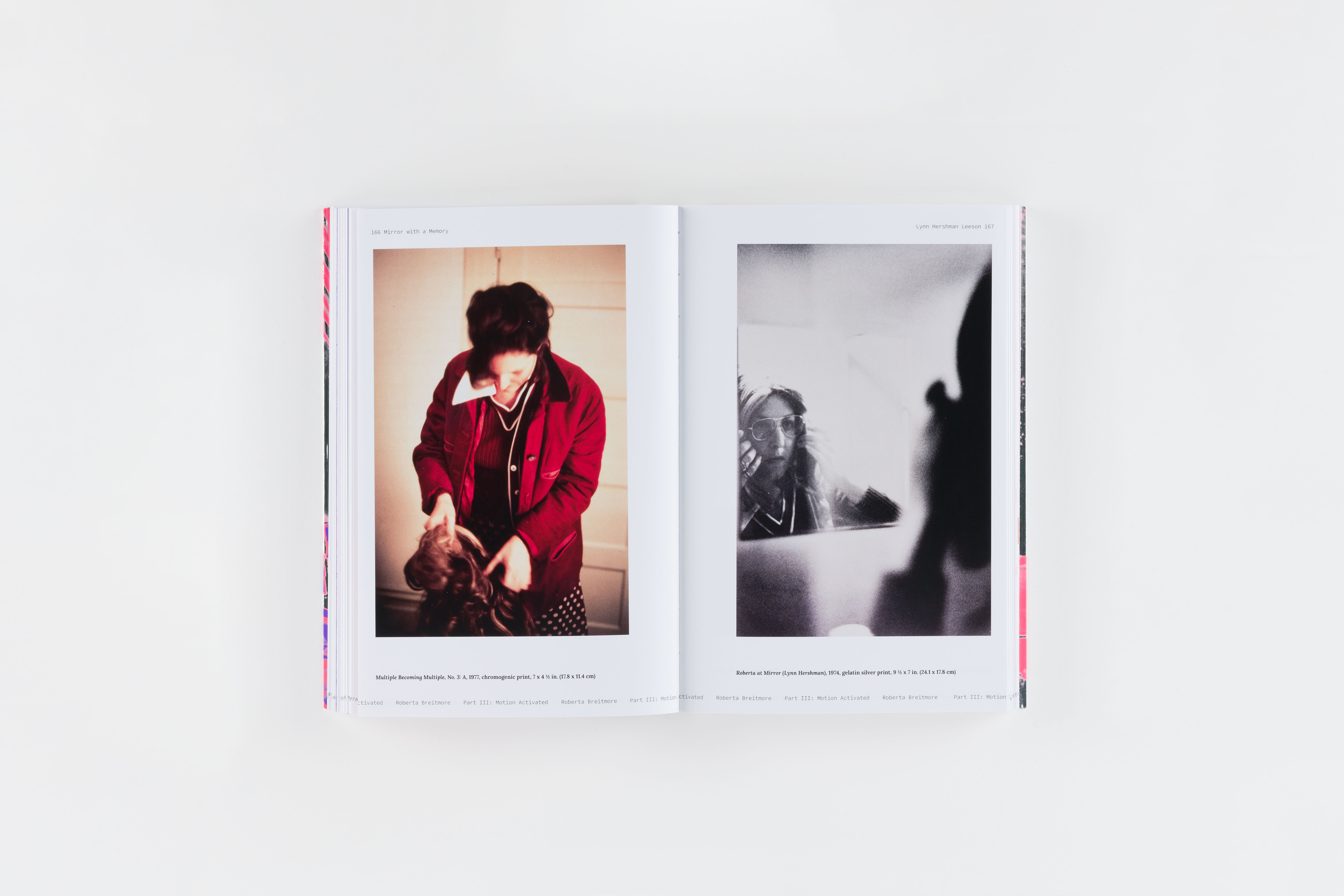 Carnegie Museum of Art Mirror with a Memory Hillman Photography Initiative