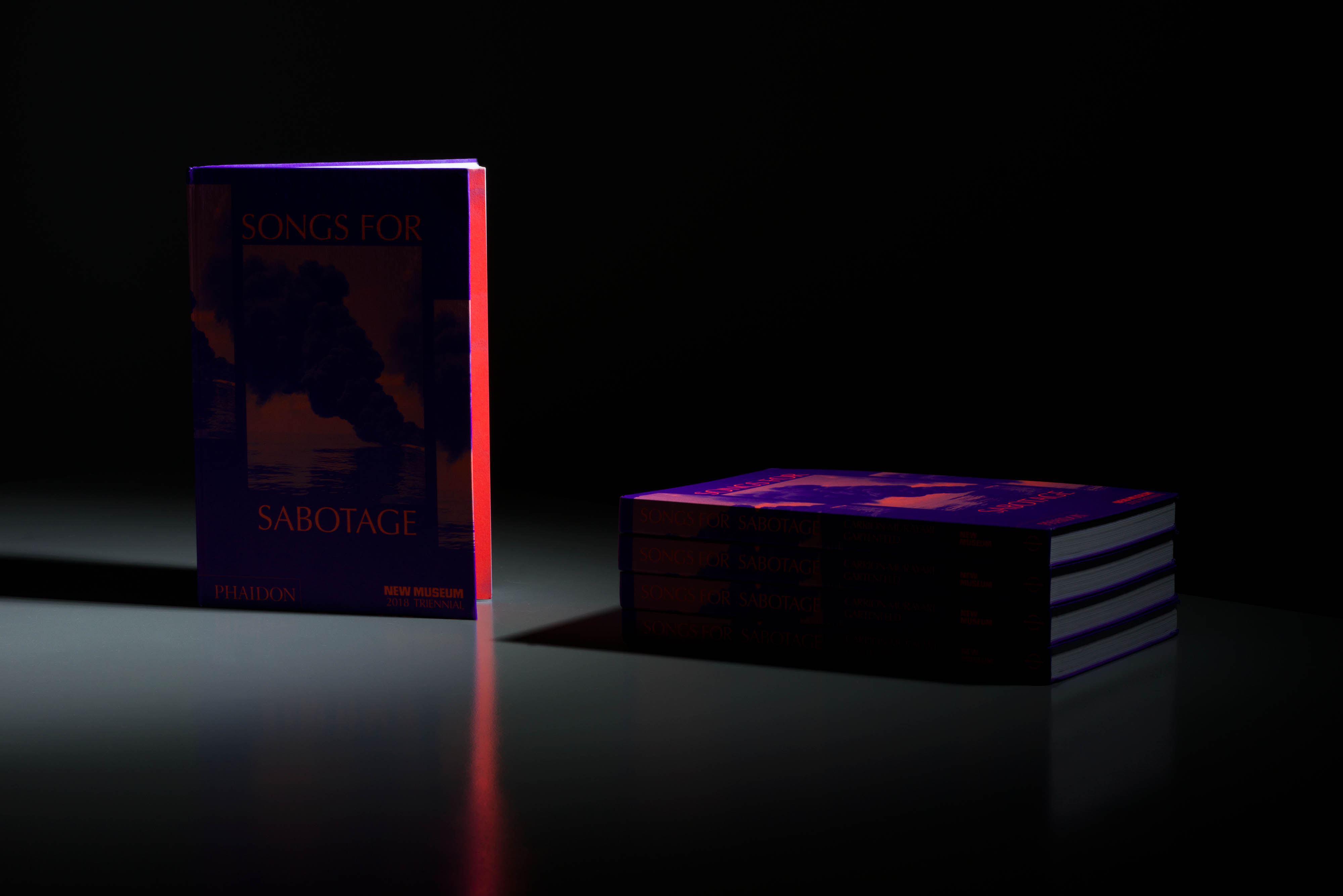 New Museum 2018 Triennial Songs For Sabotage