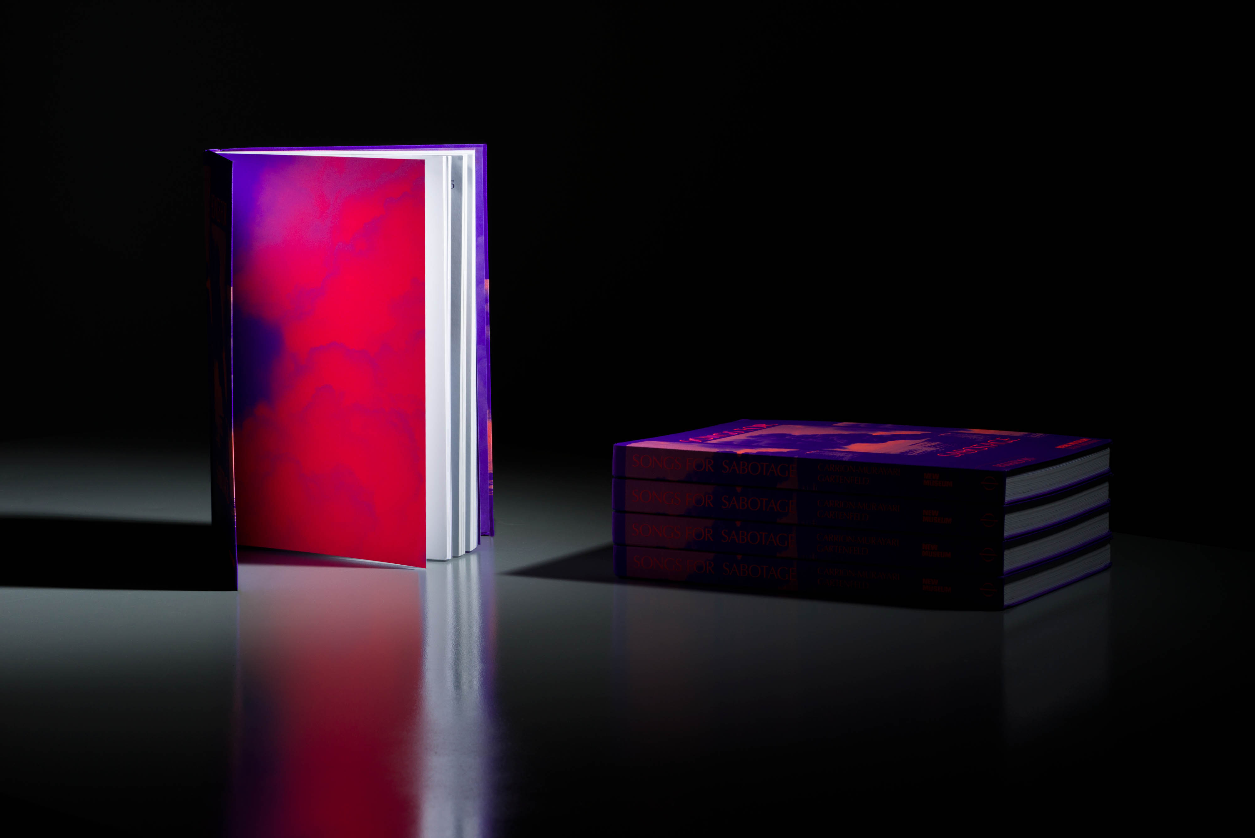 New Museum 2018 Triennial Songs For Sabotage