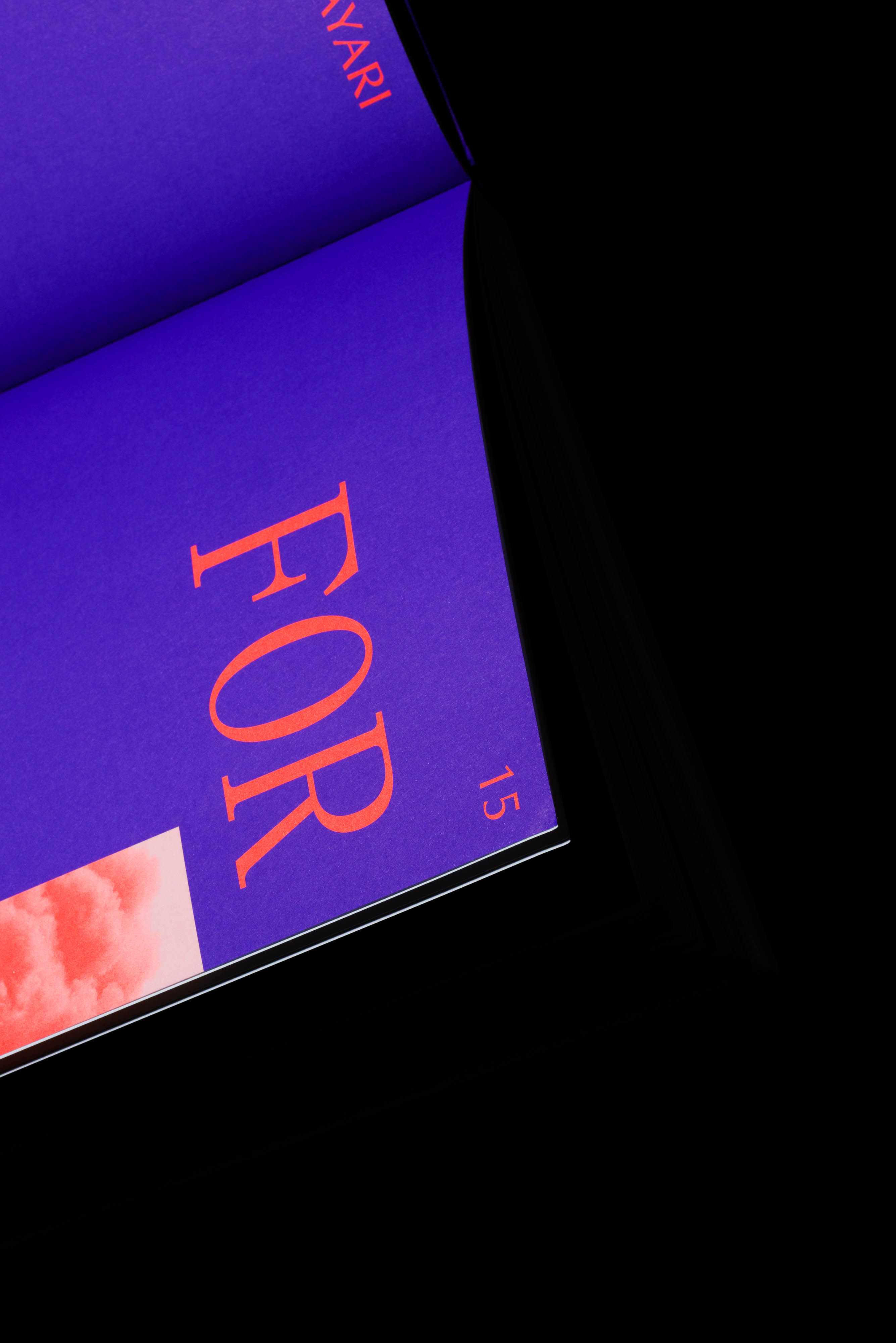 New Museum 2018 Triennial Songs For Sabotage