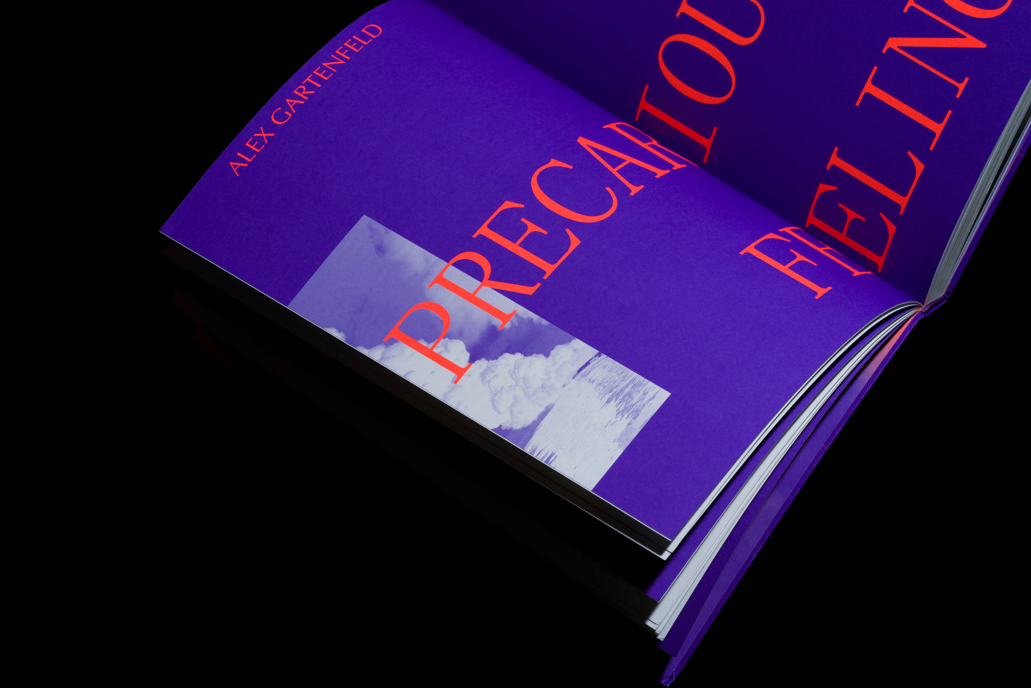 New Museum 2018 Triennial Songs For Sabotage